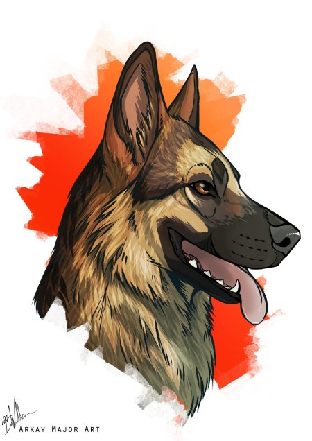 Немецкая овчарка