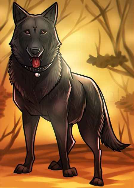 Немецкая овчарка арт