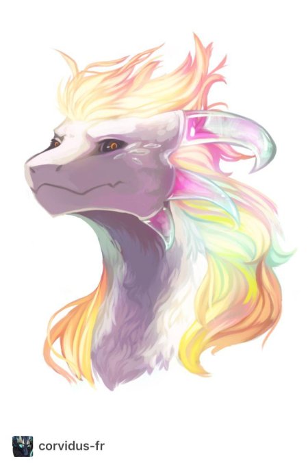 Радужные драконы