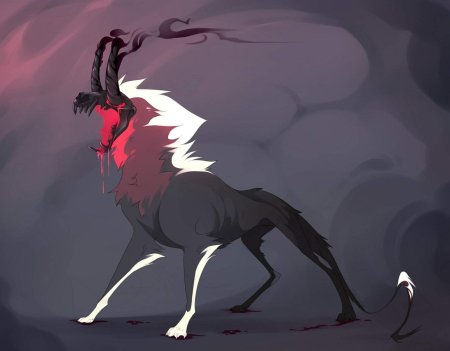 Адопты фералов