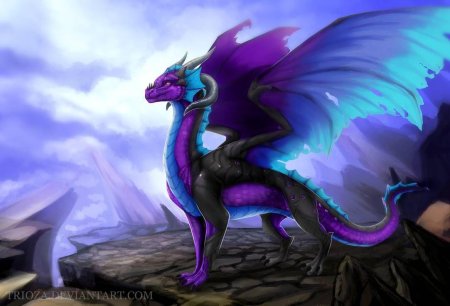 Драконица сиракс