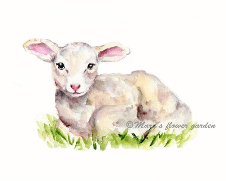 Барашек акварель