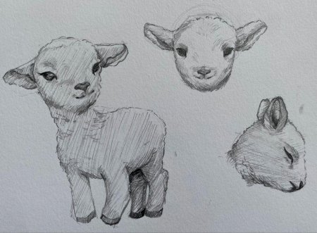 Животные карандашом