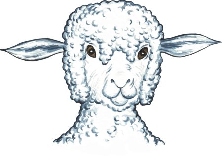 Голова барана рисунок