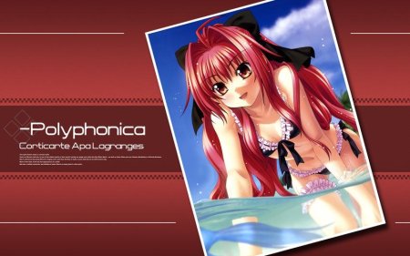 Shinkyoku soukai polyphonica