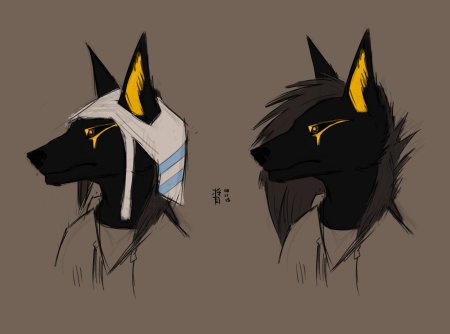 Шакал анубис furry