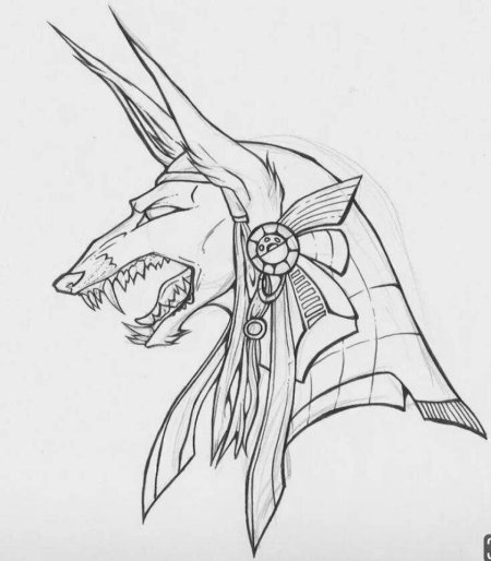 Эскиз анубис