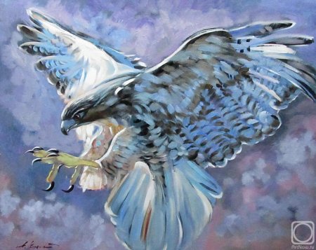 Сокол картина