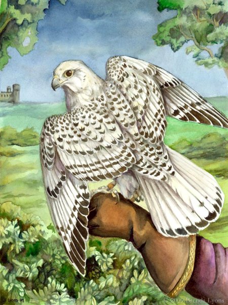 Финист ясный сокол птица