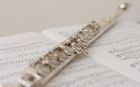 Флейта эстетика