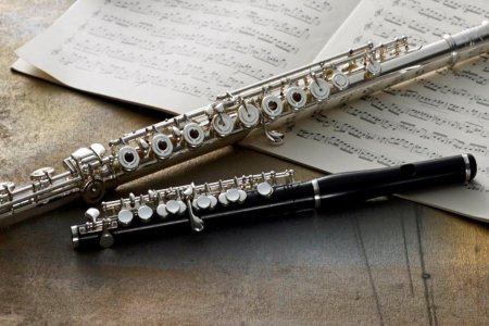 Флейта пикколо флейта