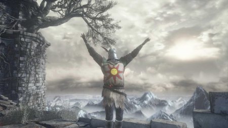 Dark souls солер восславь солнце