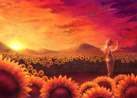 Поле подсолнух