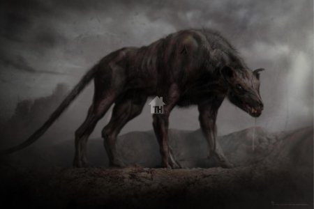 Сталкер мутант химера