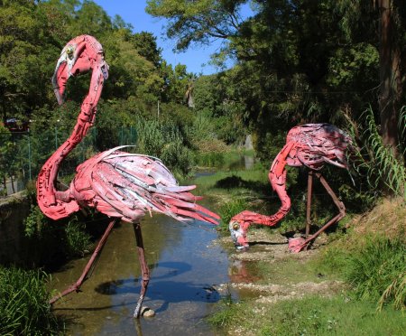 Pink flamingo
