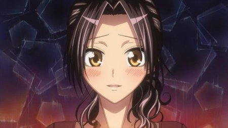 Аниме президент студсовета горничная