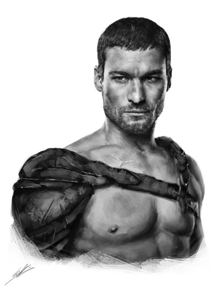 Spartacus энди уитфилд