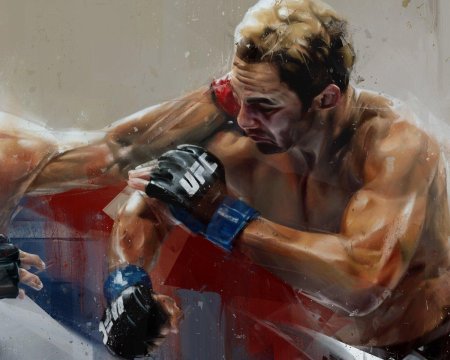 Юфс файтер арт