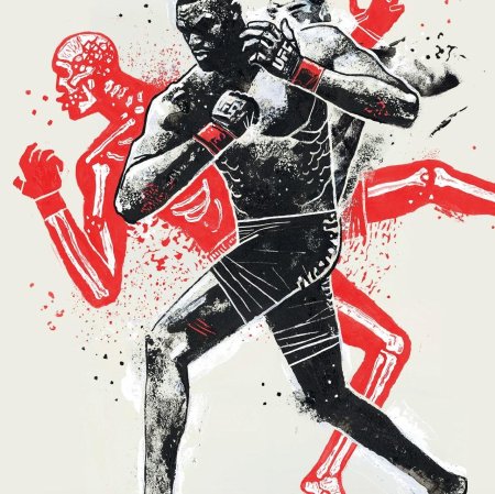 Бокс иллюстрации