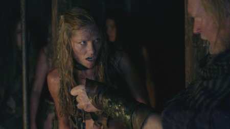 Спартак кровь и песок эллен холлман