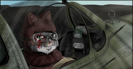 Фурри самолет