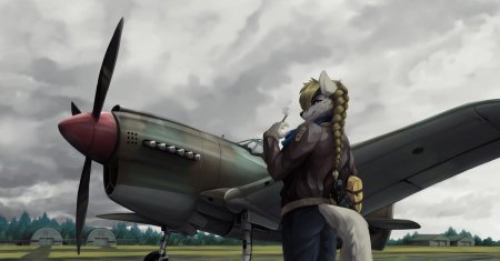 Фурри летчик ме109