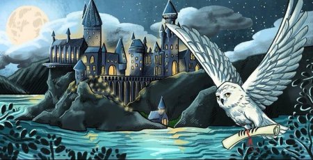 Сова гарри поттера букля harry potter хогвартс