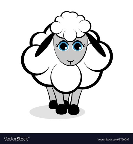 Баран рисунок