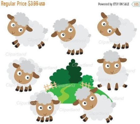 Овца вектор