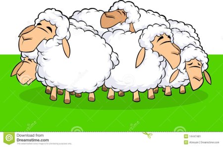 Овца рисунок