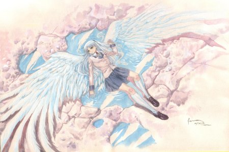 Sylphynford tachibana