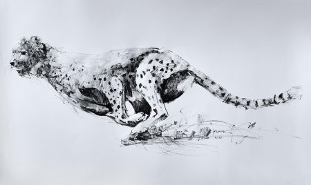 Хельмут коллер анималист