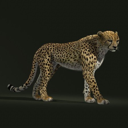 Ием cheetah 3d model