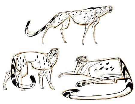 Гепард референс