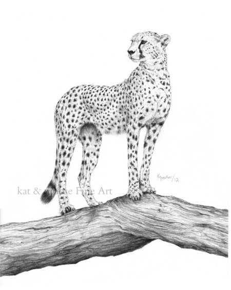Гепард рисунок