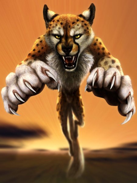 Гепард морда