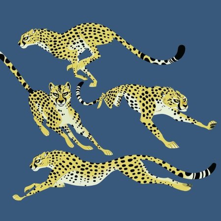 Гепарды воители