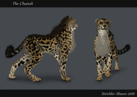 Wildcraft гепард