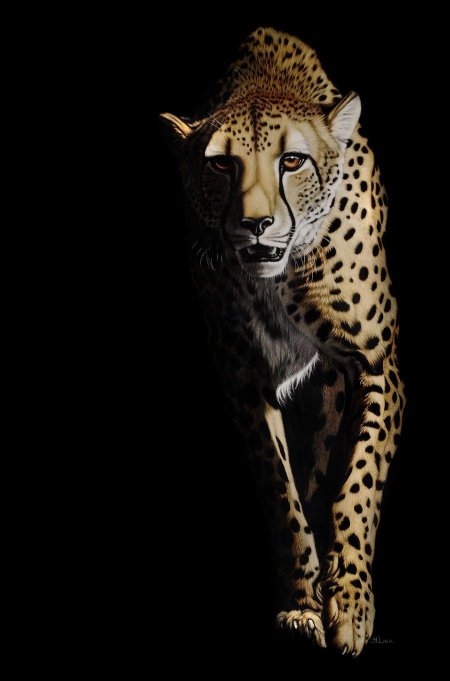 Арты гепарда