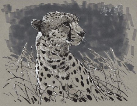 Гепард арт