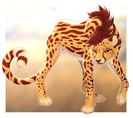 Гепард фурри