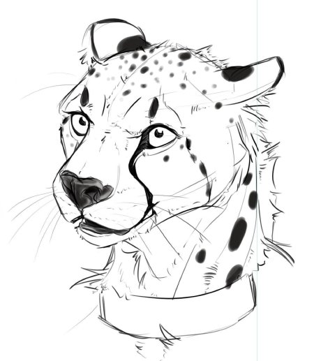 Гепард рисунок