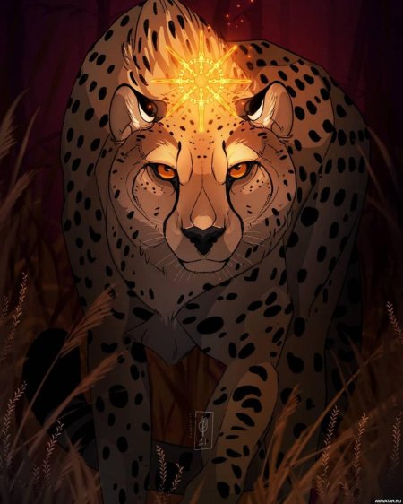 Гепард ферал