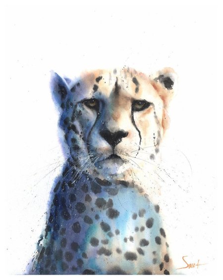 Акварель животные