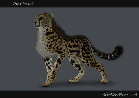 Wildcraft гепард