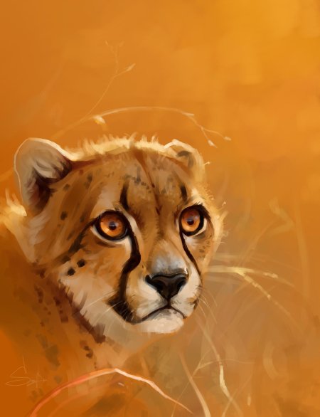 Гепард арты