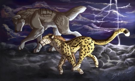 Гепард ферал