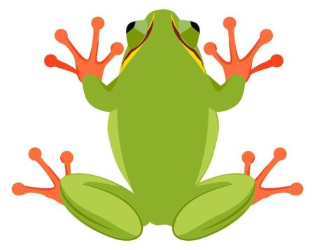 Лягушка сверху