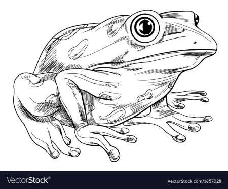 Стилизованная лягушка