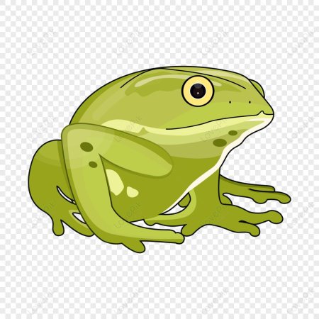 Лягушка клипарт
